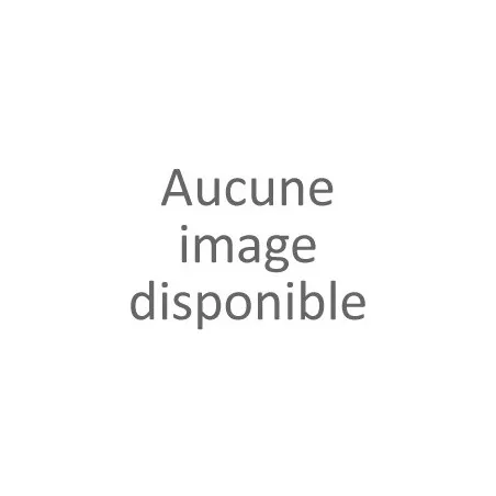 Lot de 5 slips fantaisies femme